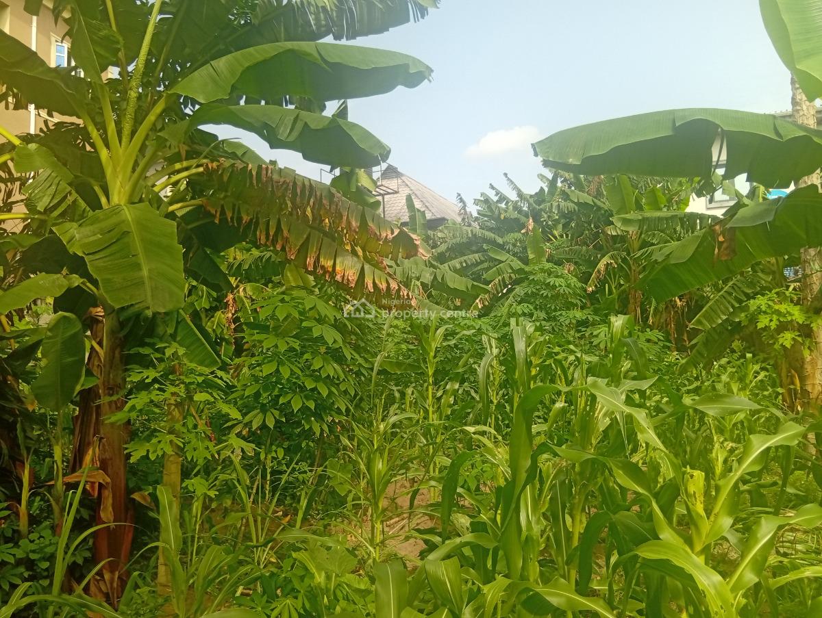 Prime Land  with Shops, Ogombo Road, Sangotedo, Ajah, Lagos, Mixed-use Land for Sale