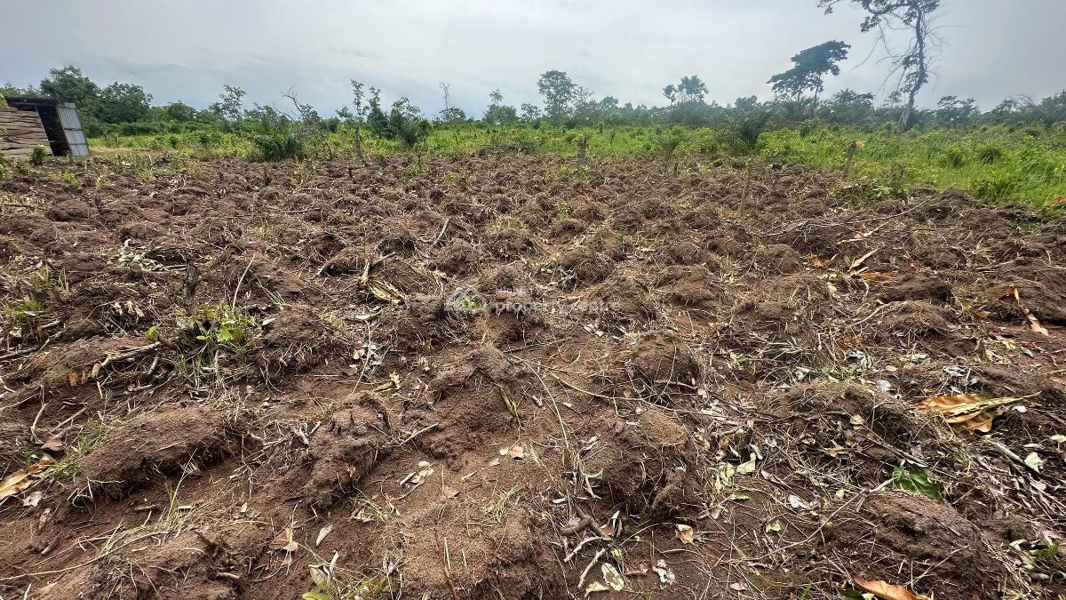 Own a Farmland and Grow Your Own Food with As Low As 100k Deposit, Affordable Farmland with a Flexible Payment Plan , Alabata, Abeokuta North, Ogun, Land for Sale
