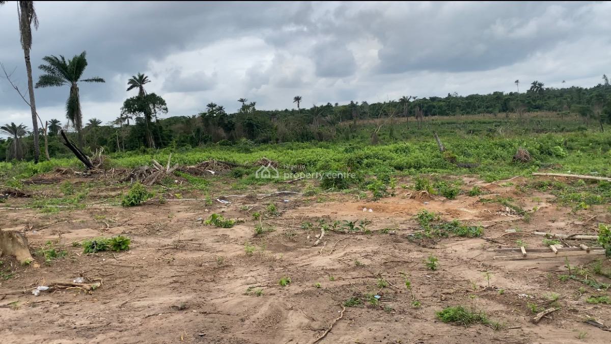 Agricultural Land, Imota, Ikorodu, Lagos, Land for Sale