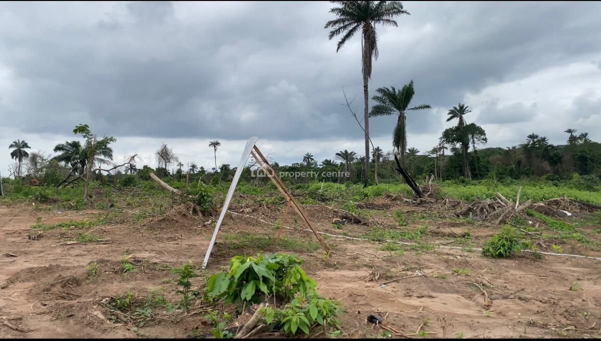 Agricultural Land, Imota, Ikorodu, Lagos, Land for Sale