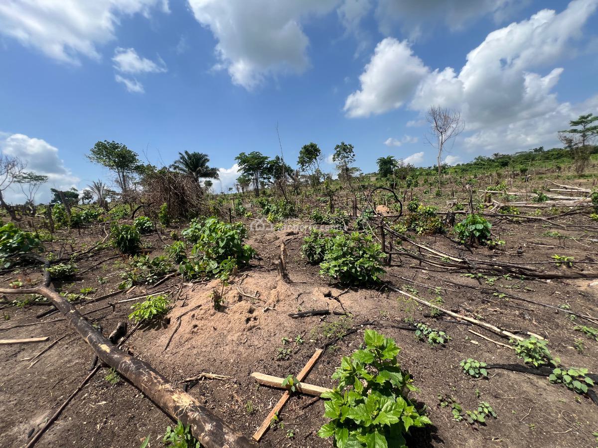 Affordable 100% Dry Land Suitable for Land Banking and Other Purposes, Agbowa, Ikorodu, Lagos, Land for Sale