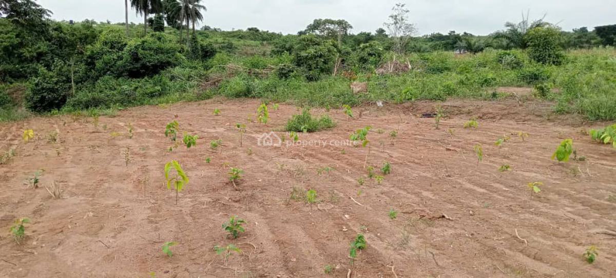 Land, Onifufu Village, Off Eruwa Road, Eleyele, Ibadan, Oyo, Land for Sale