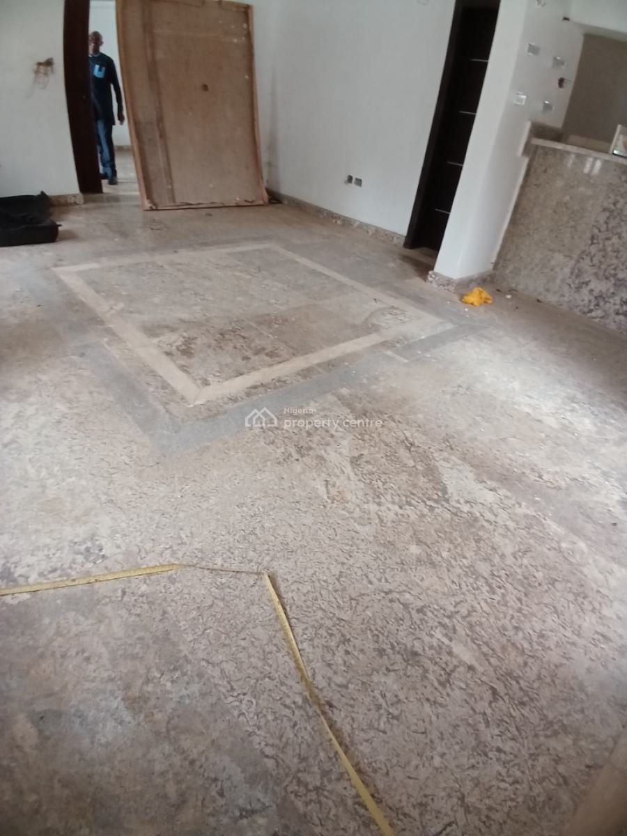 Well Renovated 10 Bedroom Fully Detached Mansion, Diplomatic Zone, Asokoro District, Abuja, Detached Duplex for Rent