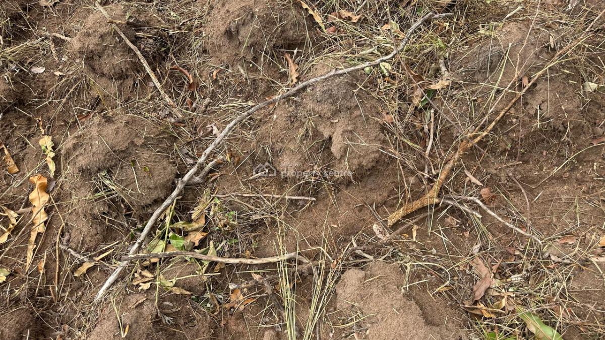Affordable Farm Land with High Returns on Investment, Off Funaab, Alabata Road, Odeda, Ogun, Mixed-use Land for Sale