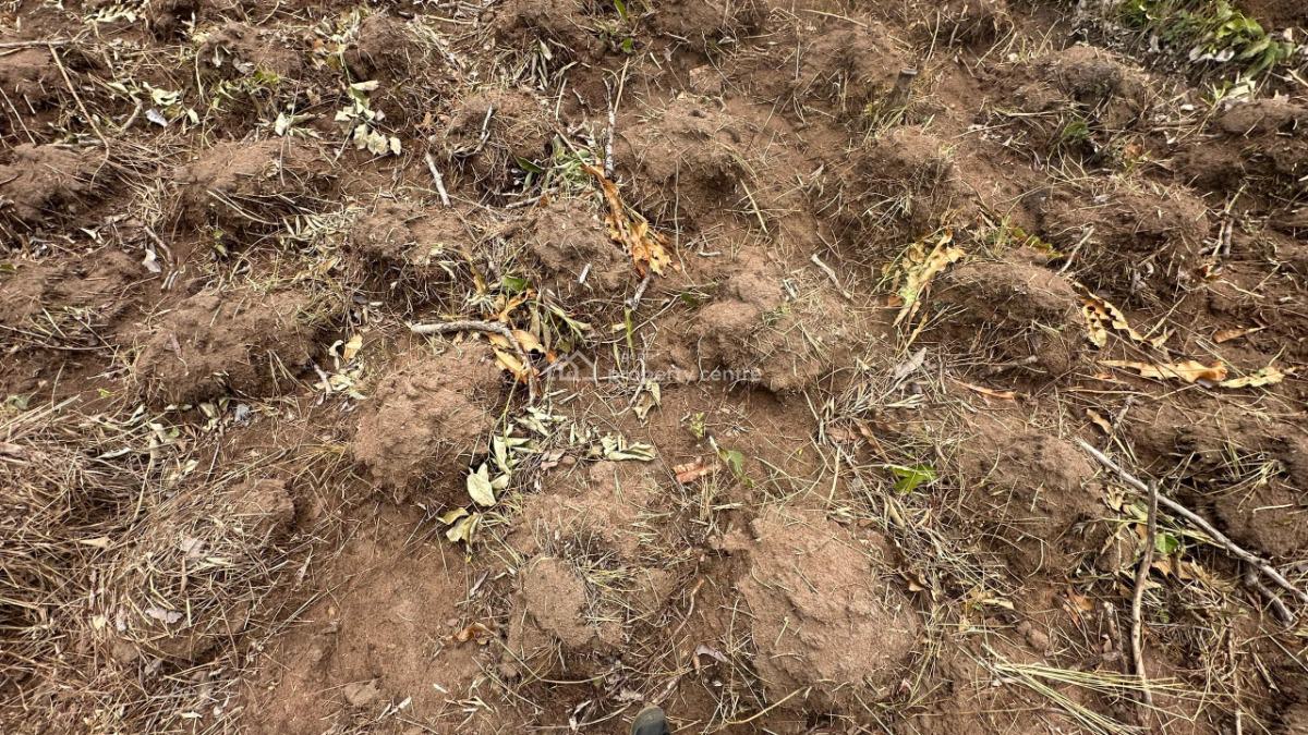 Best Agricultural Land Located in a Strategic Location, Off Funaab, Alabata Road, Odeda, Ogun, Mixed-use Land for Sale