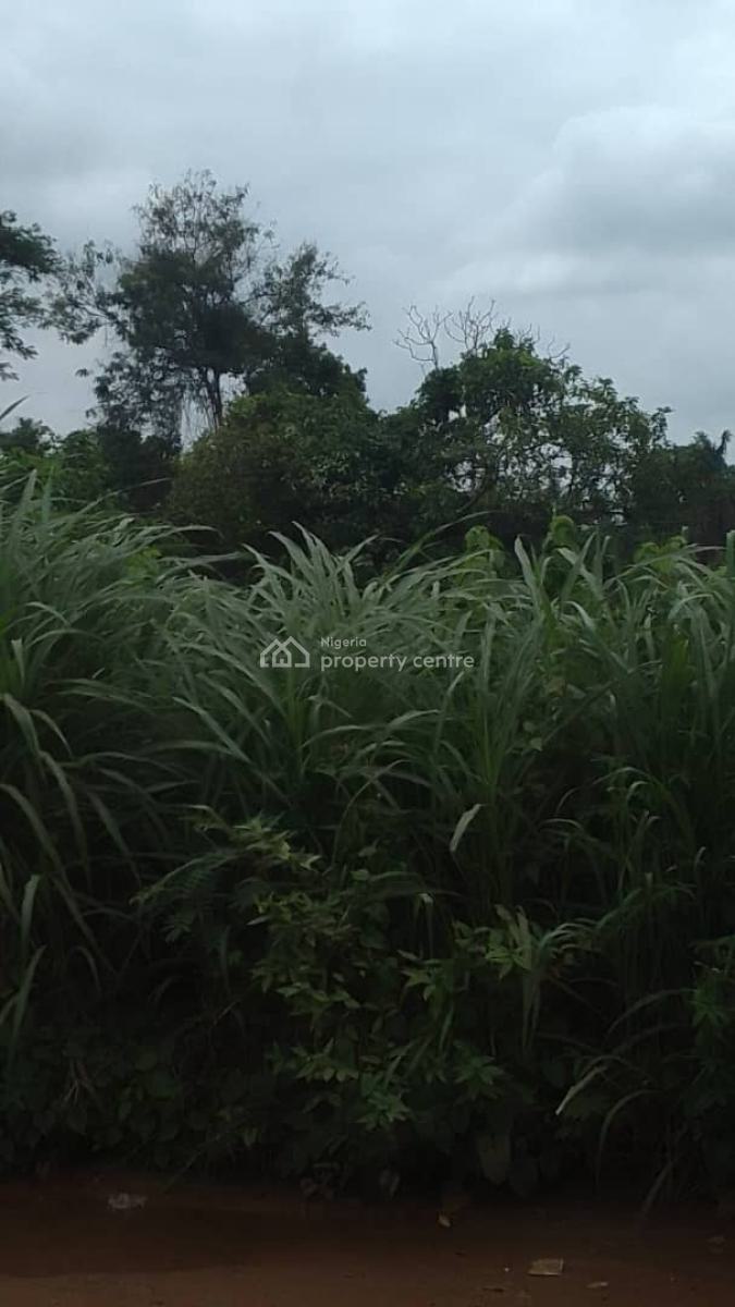 Land, Igbogila, Yewa North, Ogun, Commercial Land for Sale