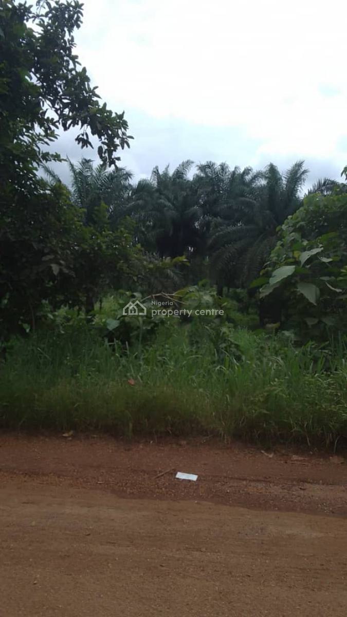 Land, Igbogila, Yewa North, Ogun, Commercial Land for Sale