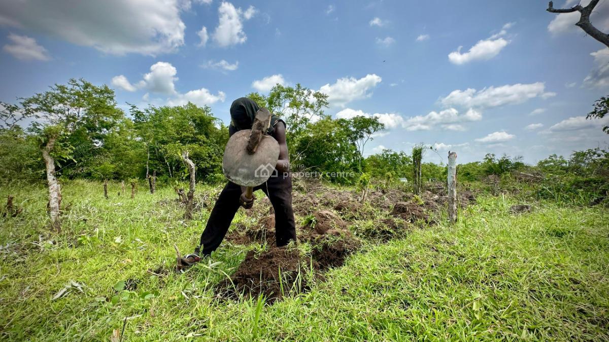 Own Farmland That Brings You Passive Income, Off Funaab, Alabata Road, Odeda, Ogun, Mixed-use Land for Sale