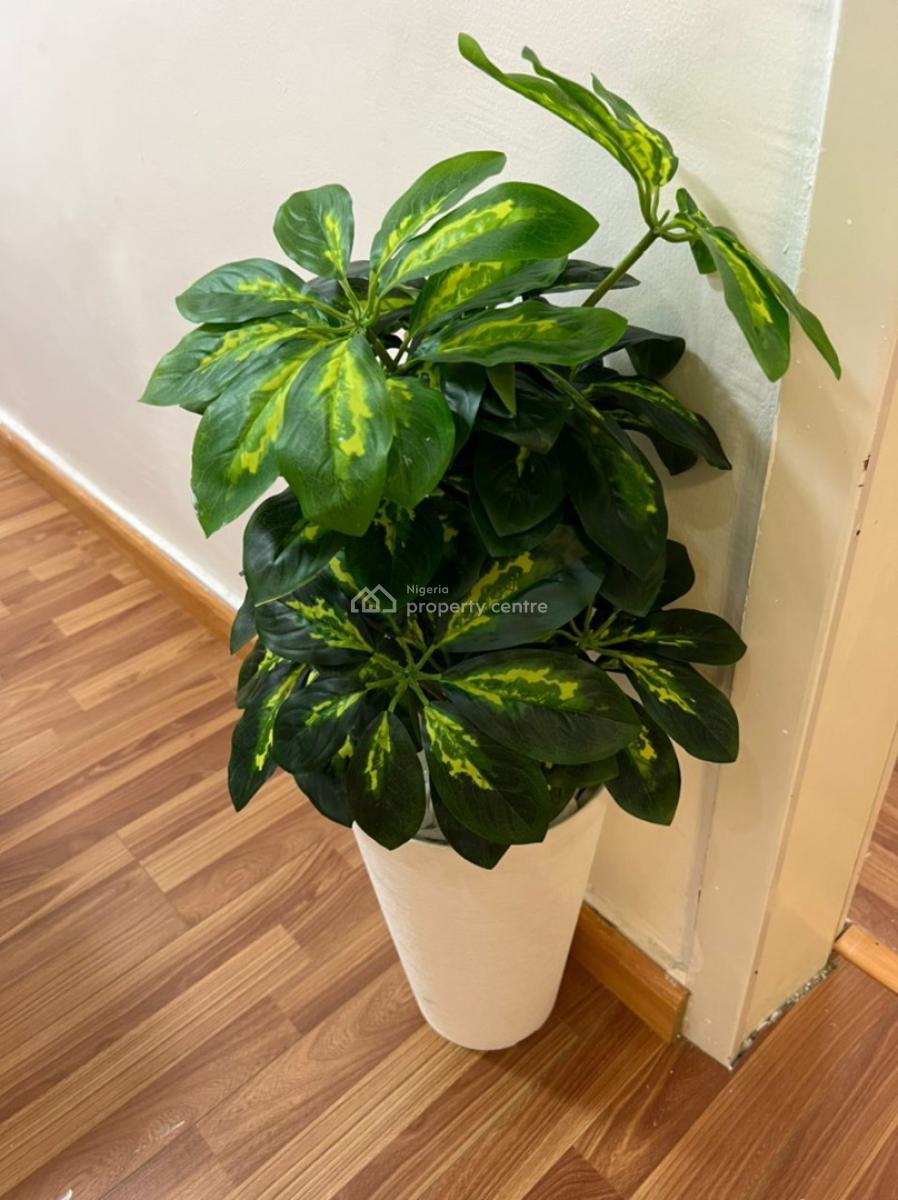 Elegant 4 Bedroom Apartment in a Beautiful Neighborhood, Chevron Drive ,, Lekki Phase 2, Lekki, Lagos, House Short Let