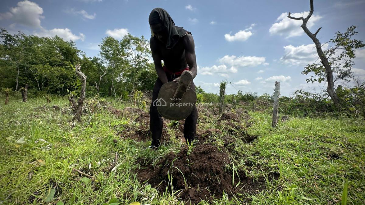 Secure Your Own Farm Land Today and Start Growing, Off Funaab, Alabata Road, Odeda, Ogun, Mixed-use Land for Sale