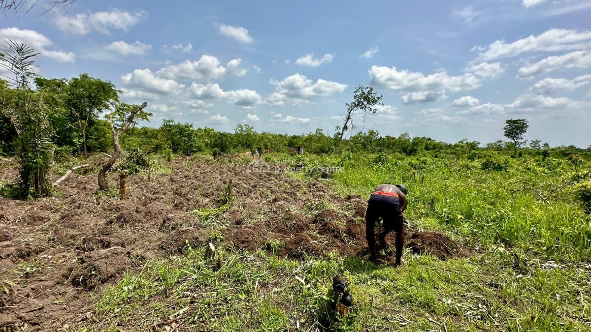 Land, Farm Land with Guaranteed 6m Annual Return, Obada Oko, Abeokuta South, Ogun, Commercial Land for Sale