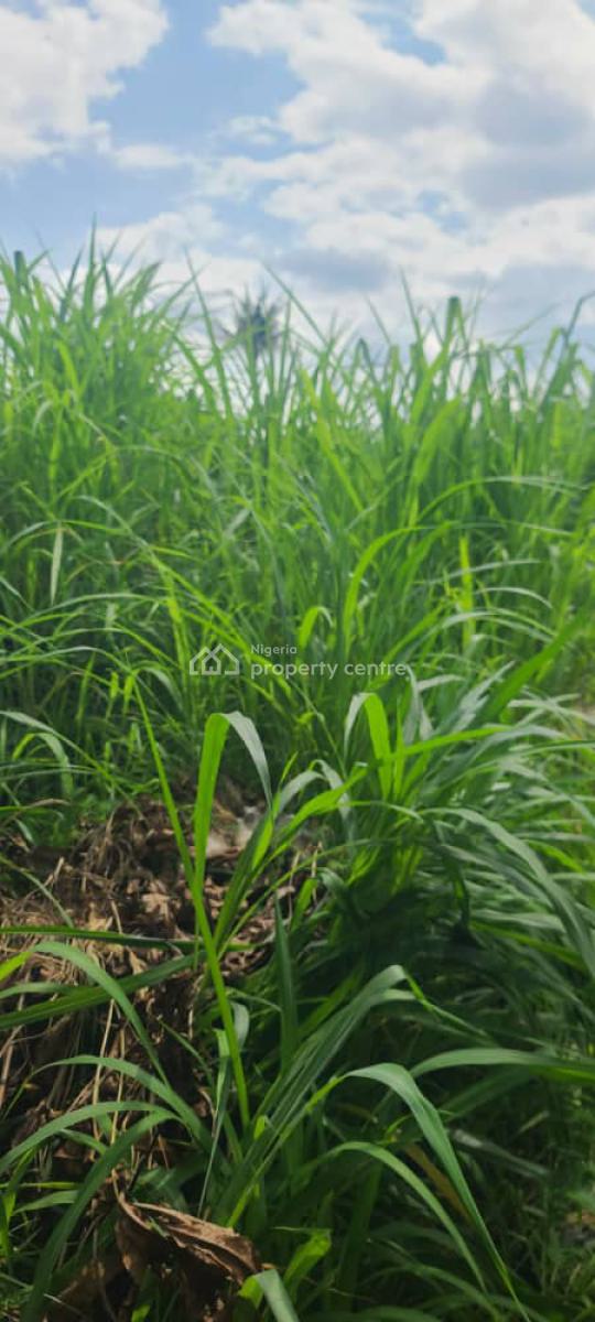 Plots of Mixed-use Land, Maryland, Enugu, Enugu, Mixed-use Land for Sale