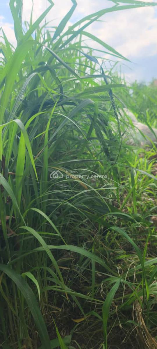 Plots of Mixed-use Land, Maryland, Enugu, Enugu, Mixed-use Land for Sale