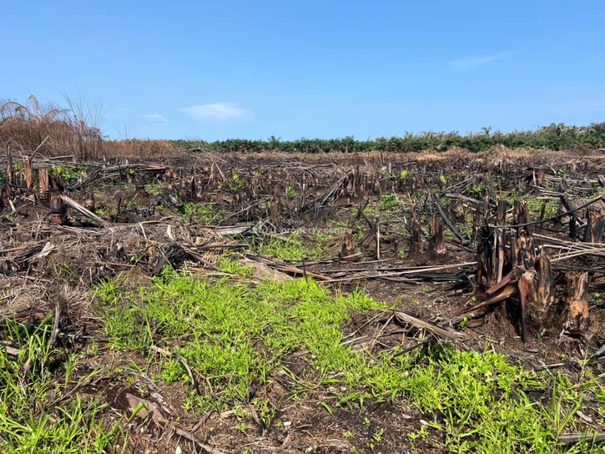 Government Allocation/c of O Land, Island Meadows Opposite Pan Atlantic University, Ibeju Lekki, Lagos, Mixed-use Land for Sale