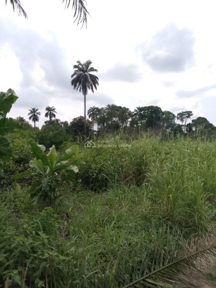 Secure a Plot, Ibefun Community Road, Epe, Lagos, Residential Land for Sale