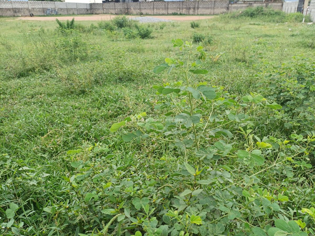 2600 Sqm Commercial Land, Jahi, Abuja, Commercial Land for Sale