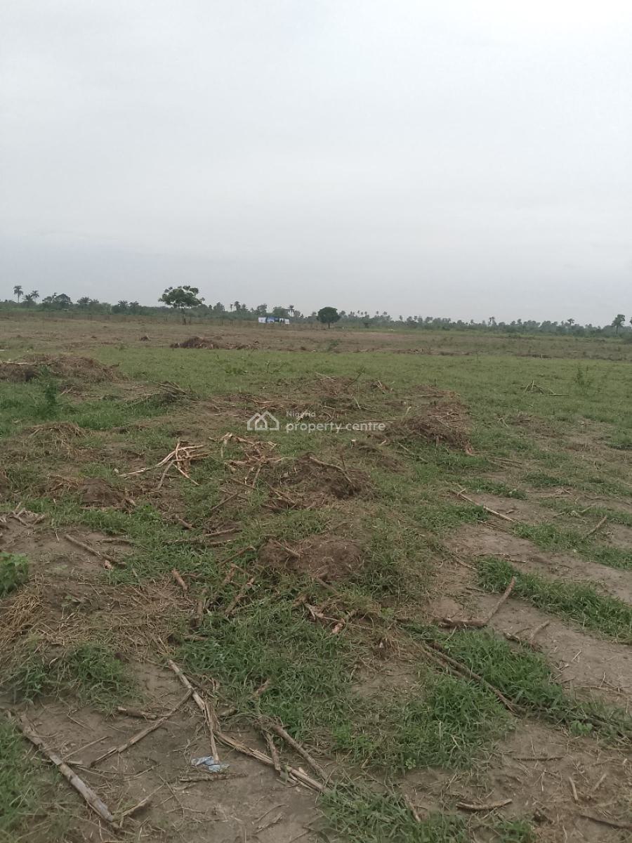 Secure an Available Plot of Land, Ilado Community Rd, Epe, Lagos, Residential Land for Sale