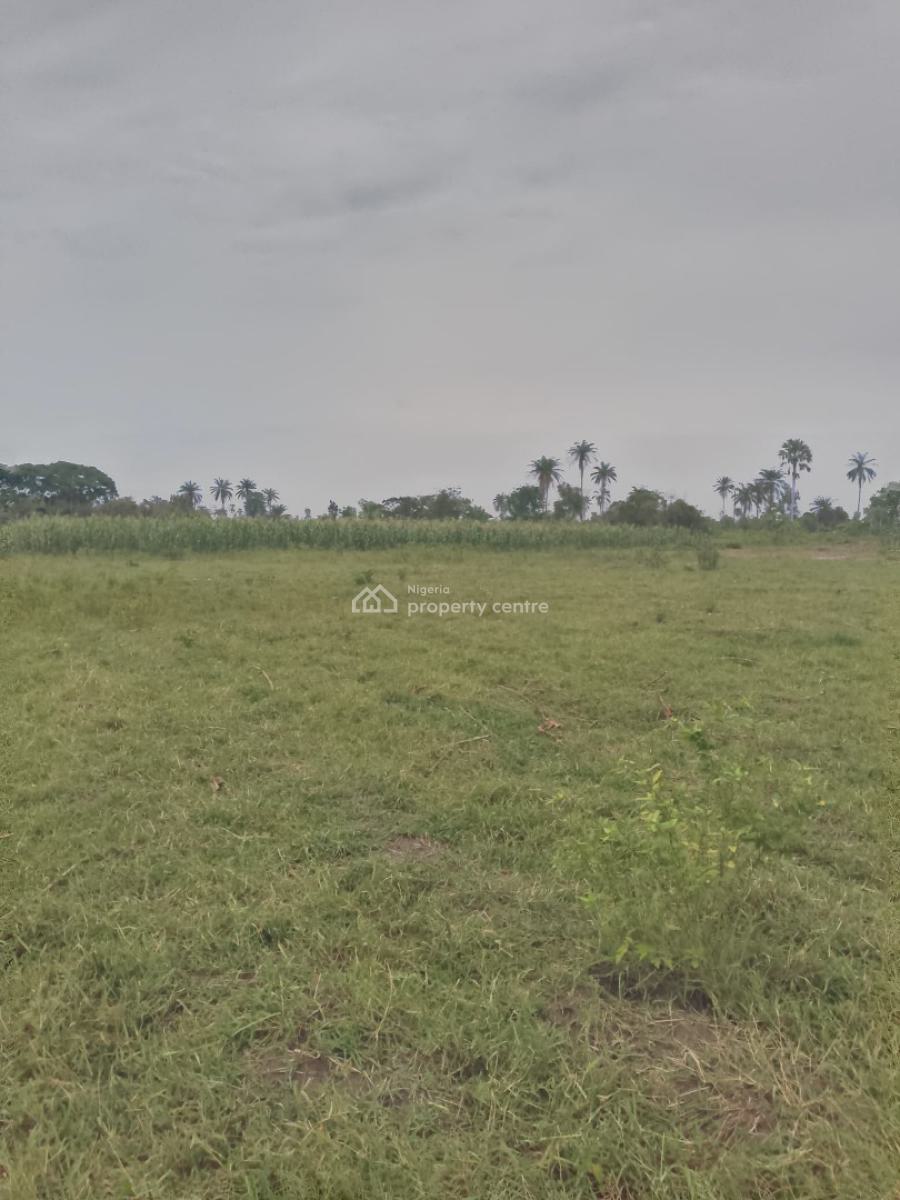Most Affordable C of O Land, Ilado Community Rd, Epe, Lagos, Residential Land for Sale