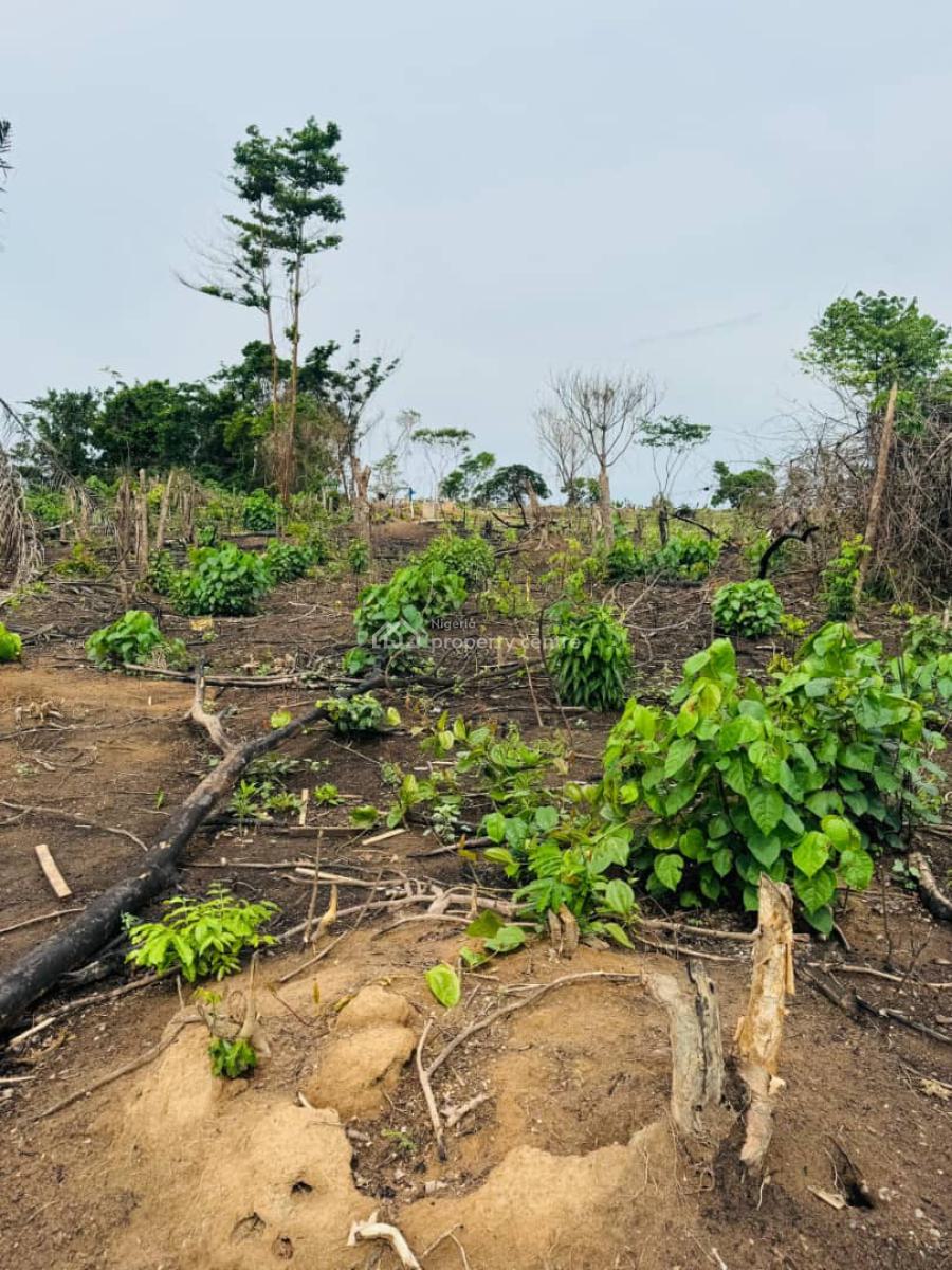 Affordable 100% Dry Land Suitable for Land Banking and Other Purposes, Agbowa, Ikorodu, Lagos, Land for Sale