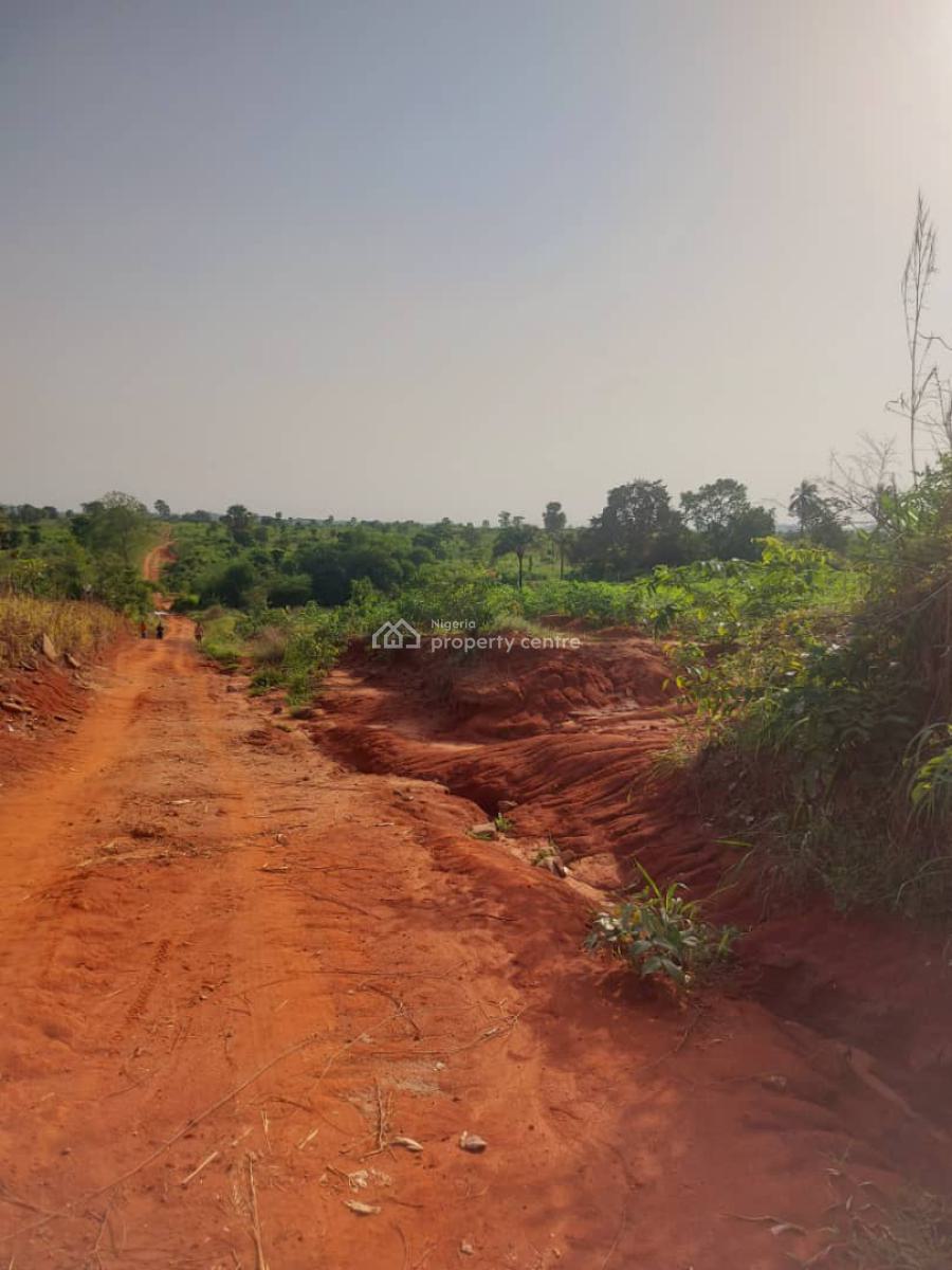The Hidden Treasure of Asaba Now Selling at Promo Prices, International Airport Road Onocha, Anambra, Anambra, Mixed-use Land for Sale
