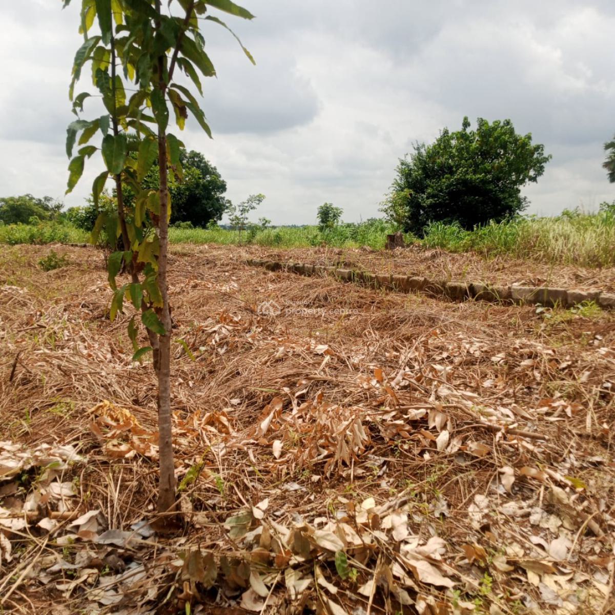 The Hidden Treasure of Asaba Now Selling at Promo Prices, International Airport Road Onocha, Anambra, Anambra, Mixed-use Land for Sale