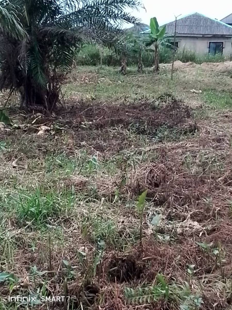Full Plot of Land in a Developed and Residential Area, Igando, Alimosho, Lagos, Residential Land for Sale