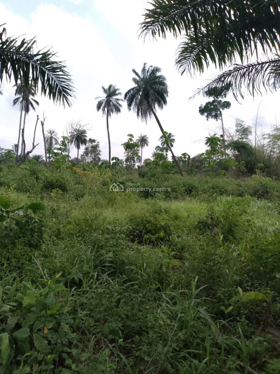 Secure an Acre of Land, Ibefun Community Rd, Ikorodu, Lagos, Residential Land for Sale