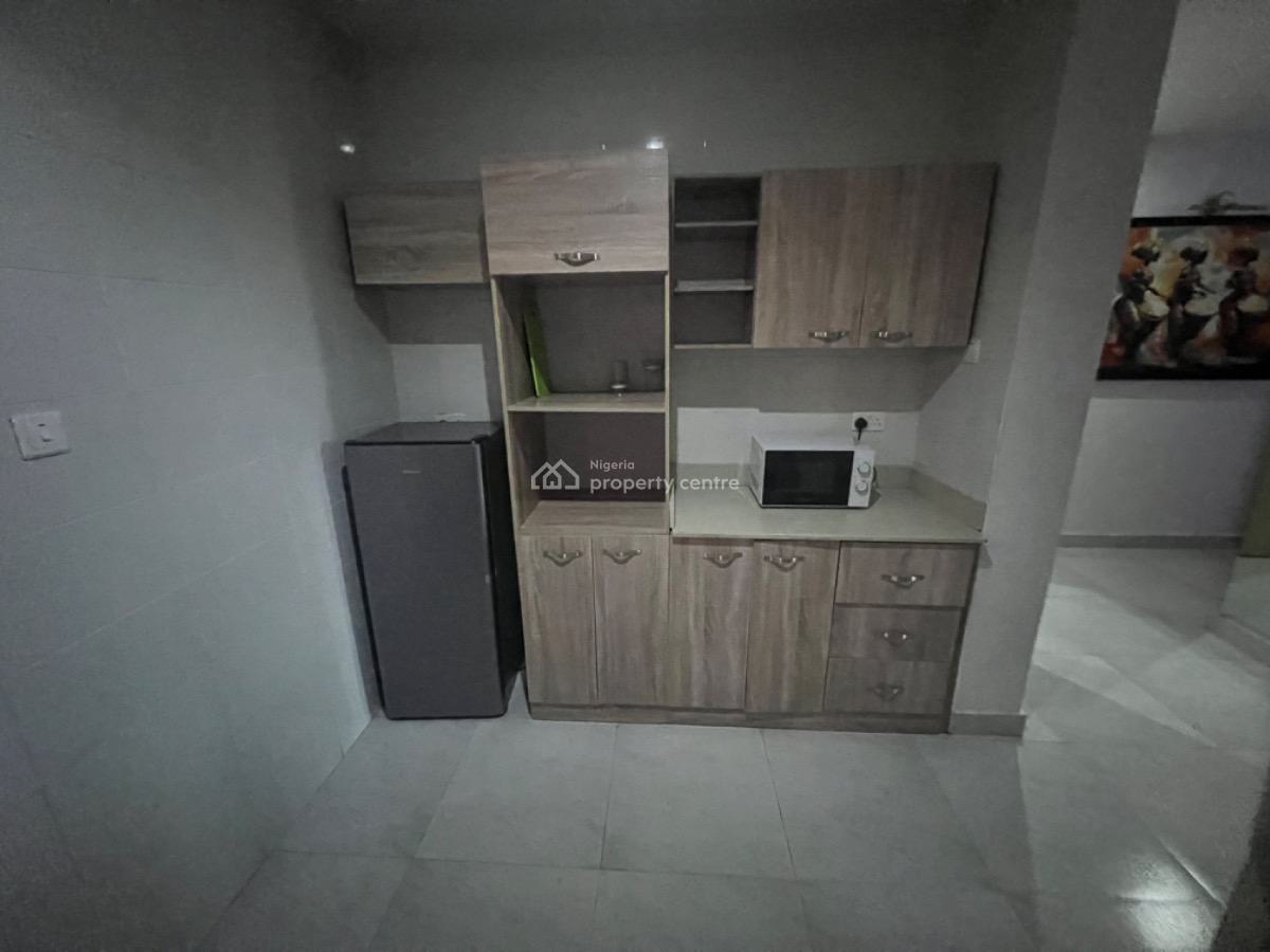 Fully Furnished 2 Bedroom Apartment, Ikate, Lekki, Lagos, Flat / Apartment for Rent