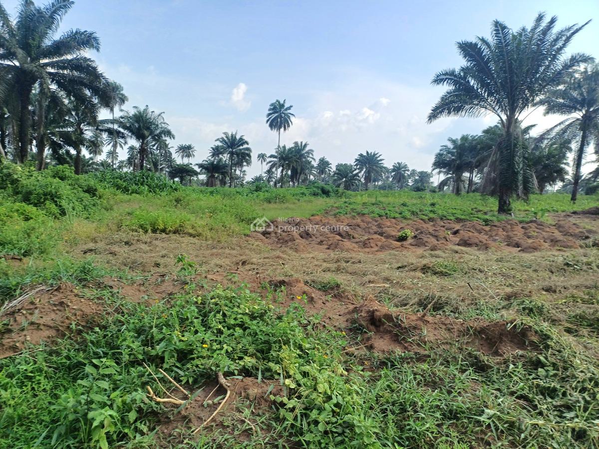 Prime 50 Plots of Land, Omagwa, Port Harcourt, Rivers, Residential Land for Sale