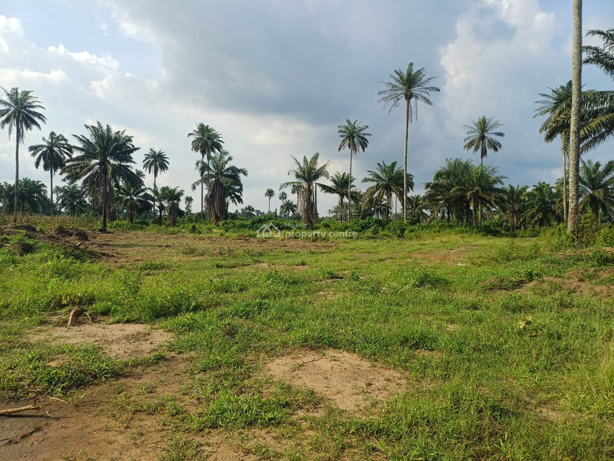 10 Plots of Land, Omagwa, Port Harcourt, Rivers, Residential Land for Sale