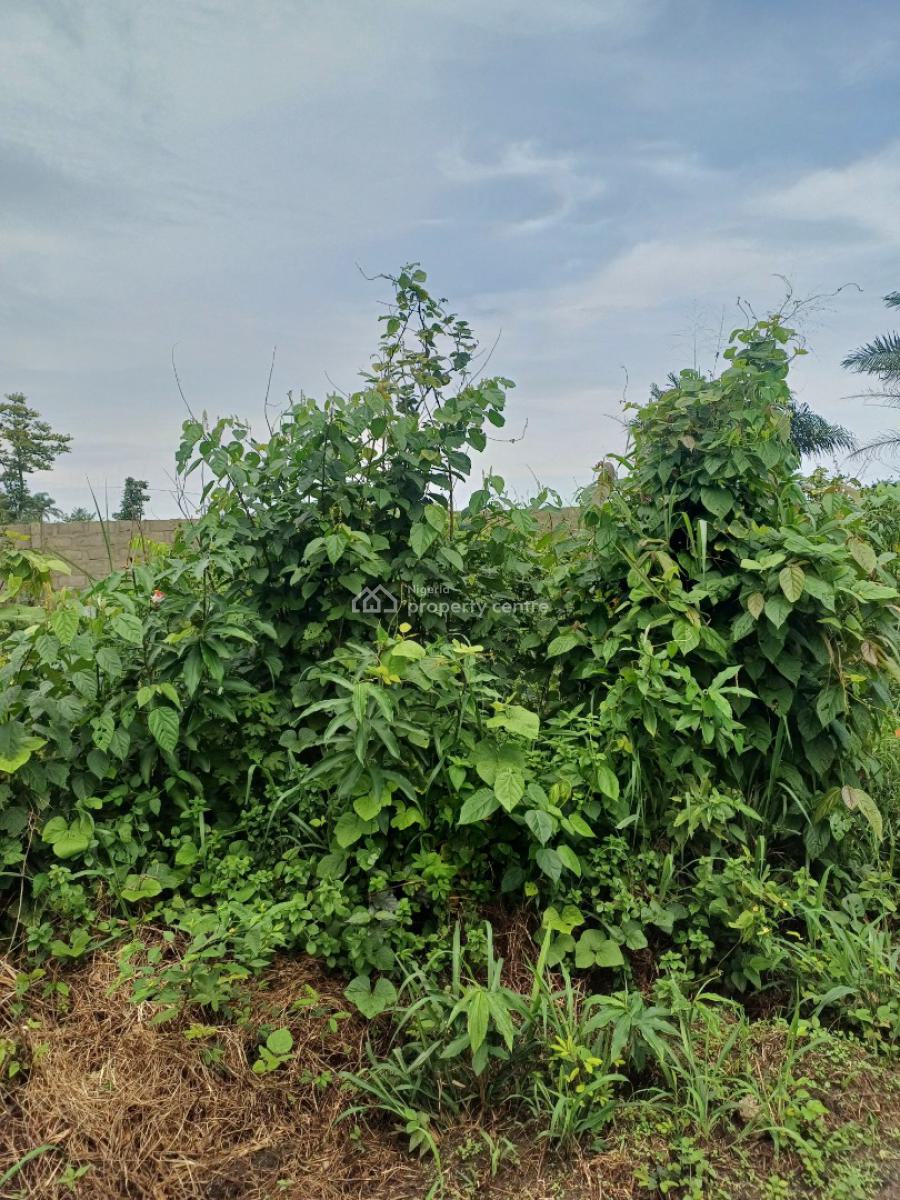 Mixed Use Land in an Estate, Irene City Estate, Omagwa, Port Harcourt, Rivers, Mixed-use Land for Sale