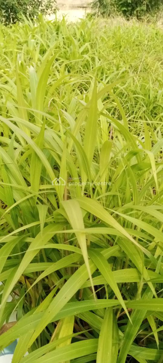 Prime Residential Plot of Land, Behind Coza Church, Guzape District, Abuja, Residential Land for Sale