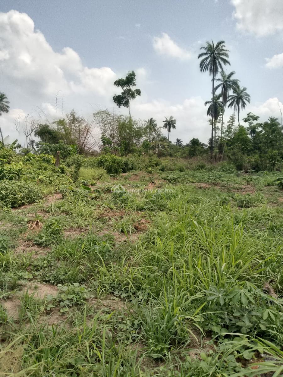 Secure a Plot of Land, Ibefun Community Rd, Epe, Lagos, Residential Land for Sale