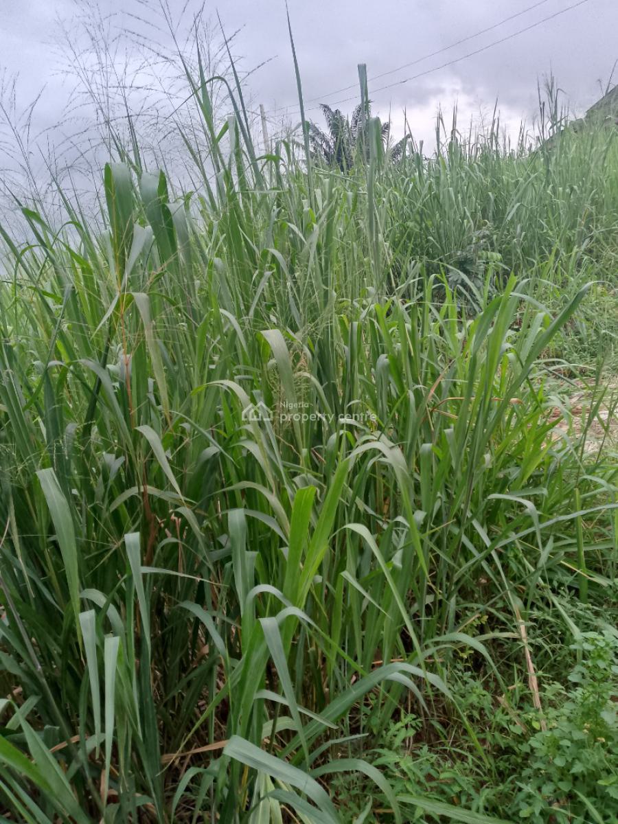 Fenced 700 Square Metres Land, Magboro, Ogun, Residential Land for Sale