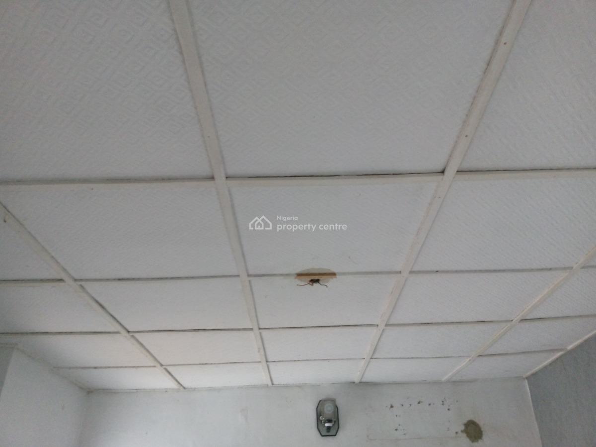 a Spacious and All En-suite Two Bedroom Flat in a Wonderful Location, Off The Alagbole - Akute Road, Ojodu, Lagos, Flat / Apartment for Rent