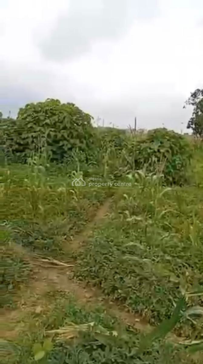 a Standard, Solid Land, Apo, Abuja, Mixed-use Land for Sale