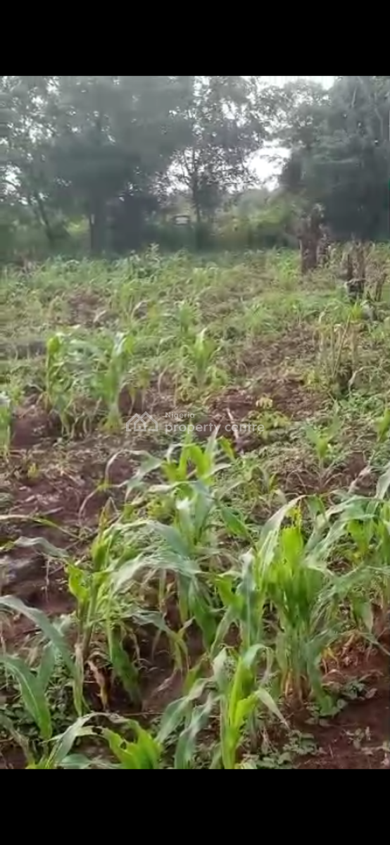 1 Acre of Farm Land, Ewekoro, Ogun, Commercial Land for Sale