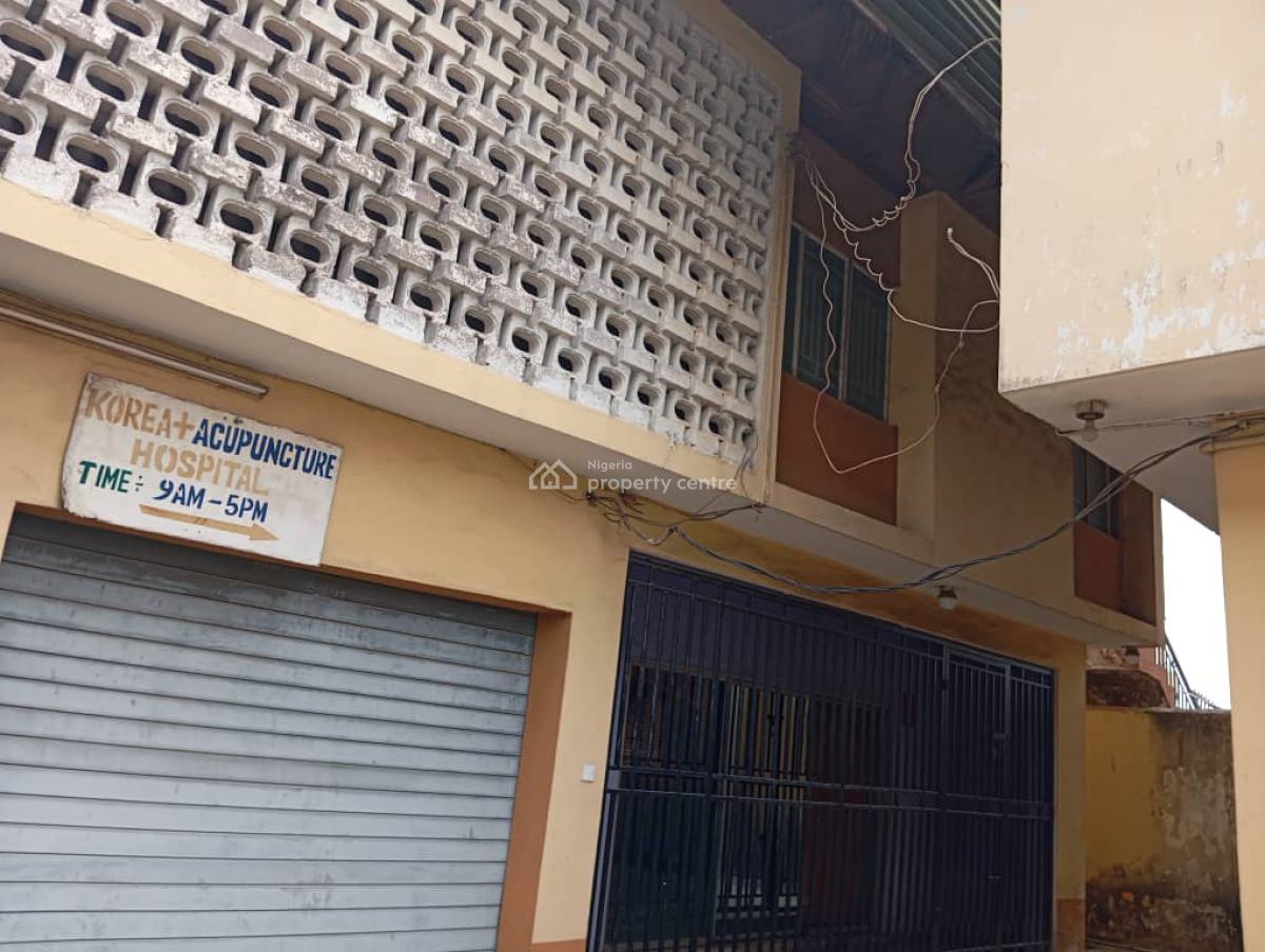a Well Maintained 2 Nos 5 Bedroom Detached Duplex, Ireakari Estate, Isolo, Lagos, Detached Duplex for Rent