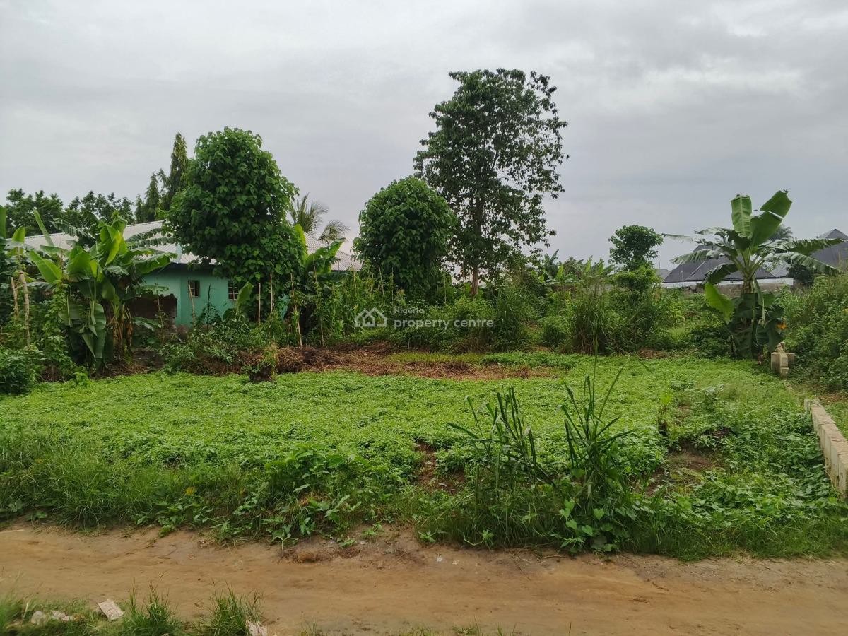 Land Suitable for Rice Farming, Eredo, Yewa South, Ogun, Land for Sale