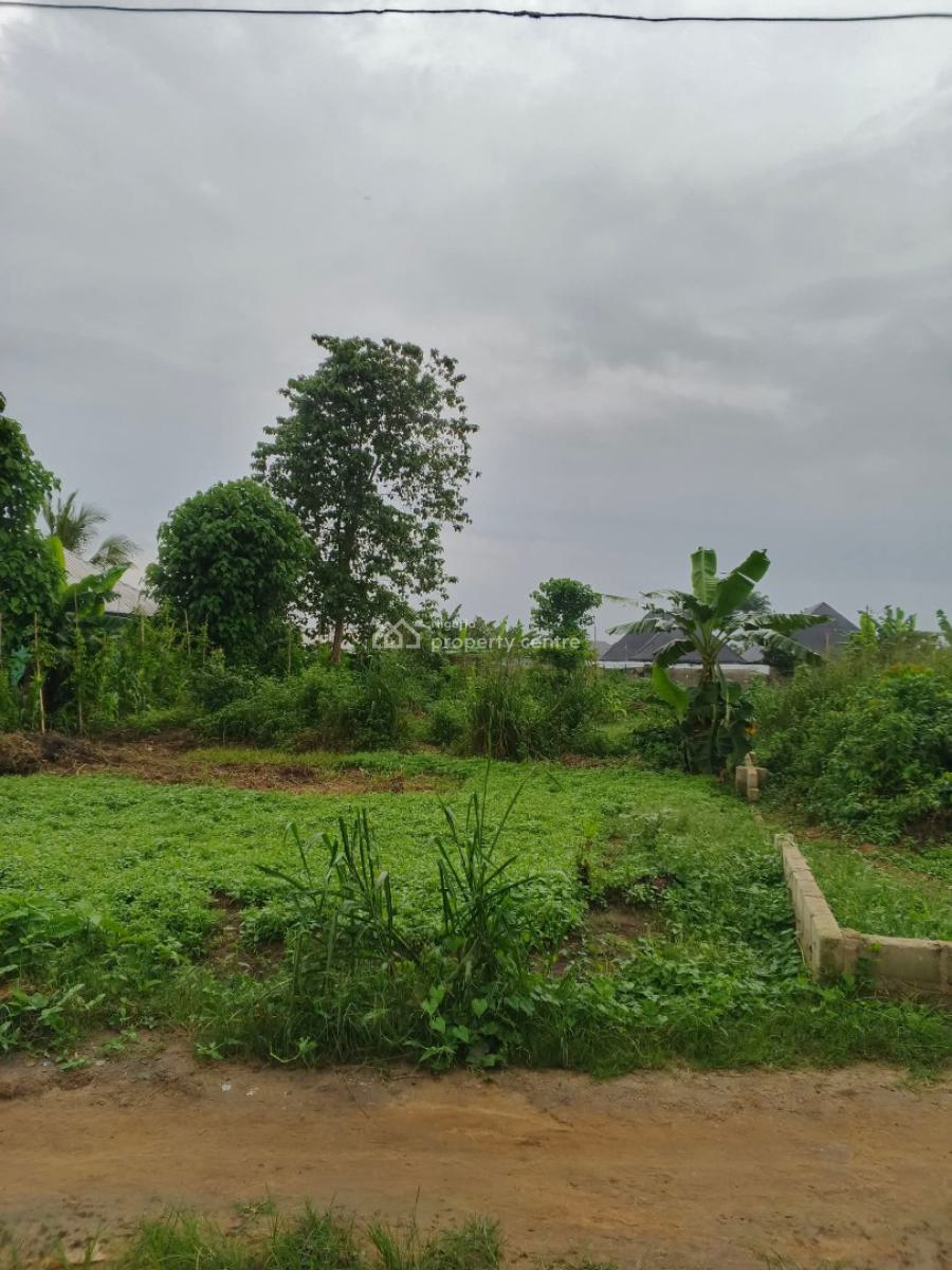 Land Suitable for Rice Farming, Eredo, Yewa South, Ogun, Land for Sale