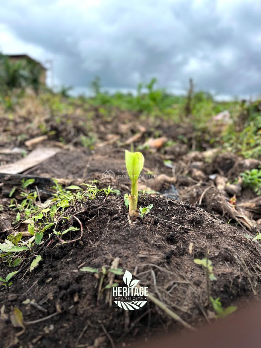 Acres and Hectares of Land with a Promo Offer & Flexible Payment Plan, Fertile Farmland Close to Funaab. Buy an Acre , Get 1 Plot Free, Abeokuta North, Ogun, Land for Sale