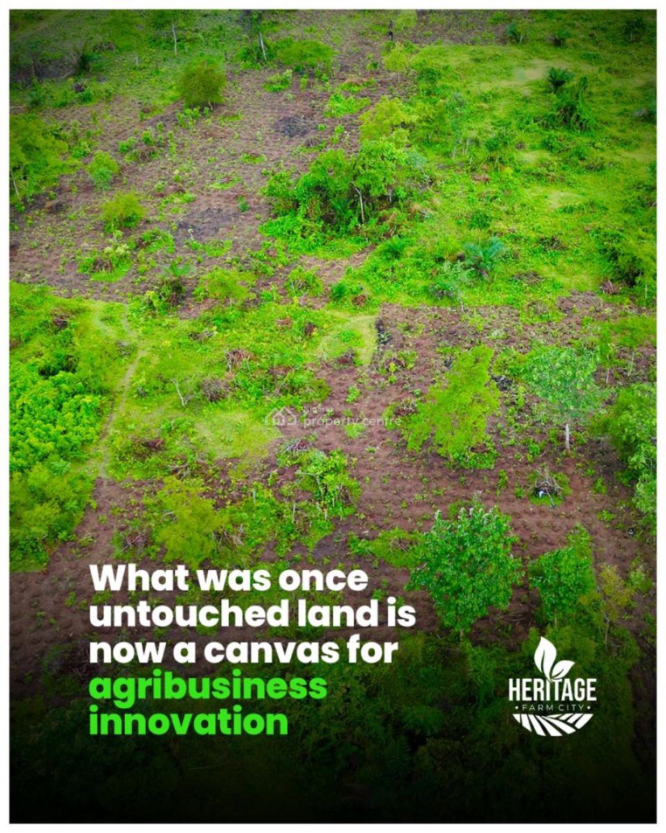 Acres and Hectares of Land with a Promo Offer & Flexible Payment Plan, Fertile Farmland Close to Funaab. Buy an Acre , Get 1 Plot Free, Abeokuta North, Ogun, Land for Sale