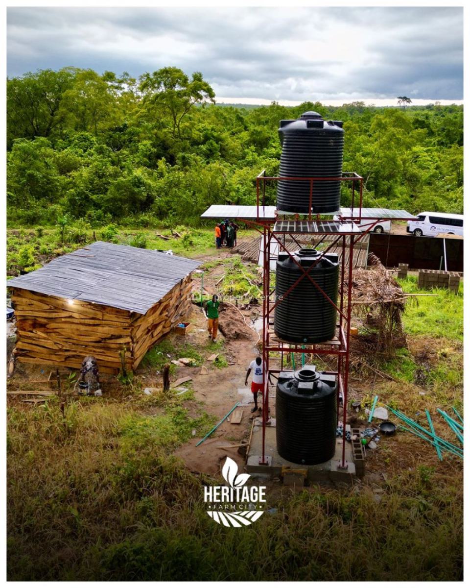 Get Into Agriculture Because Is The Secret in Making Millions, Abeokuta South, Ogun, Land for Sale
