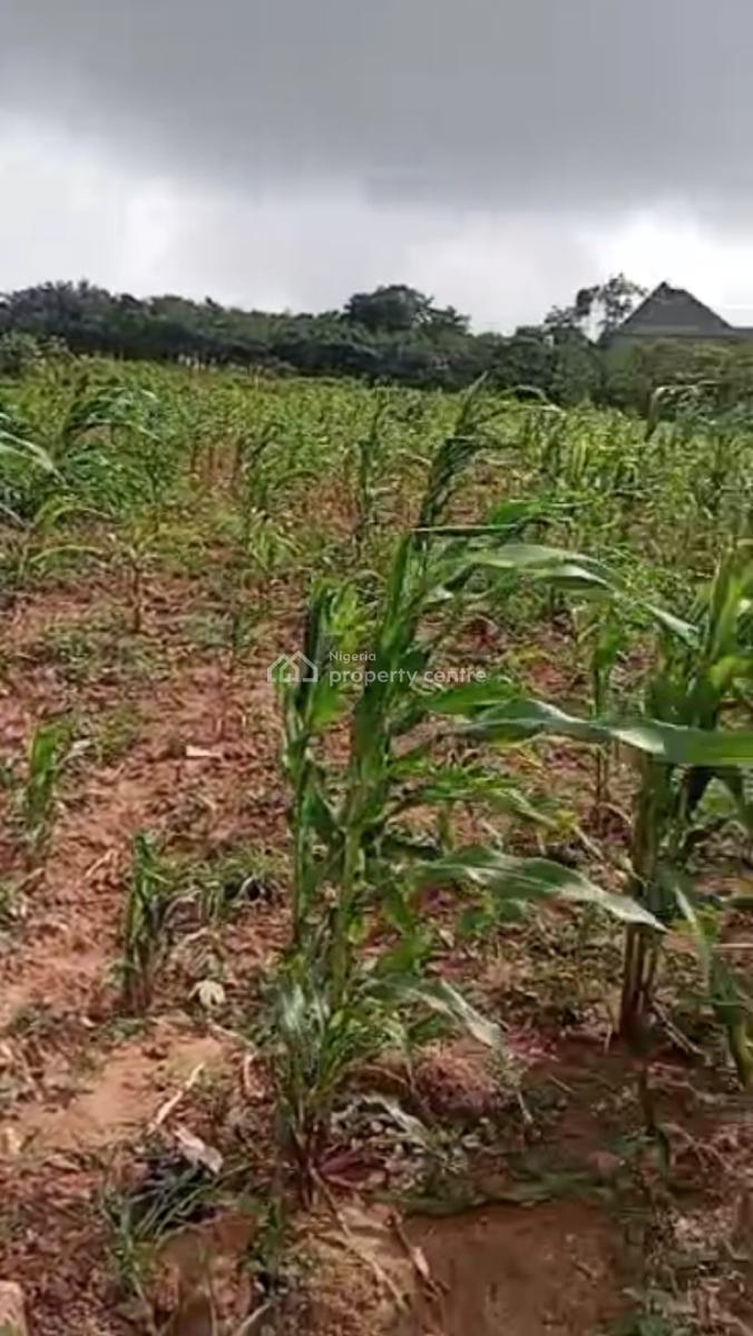 2000 Sqm of Solid Land, Guzape District, Abuja, Residential Land Joint Venture