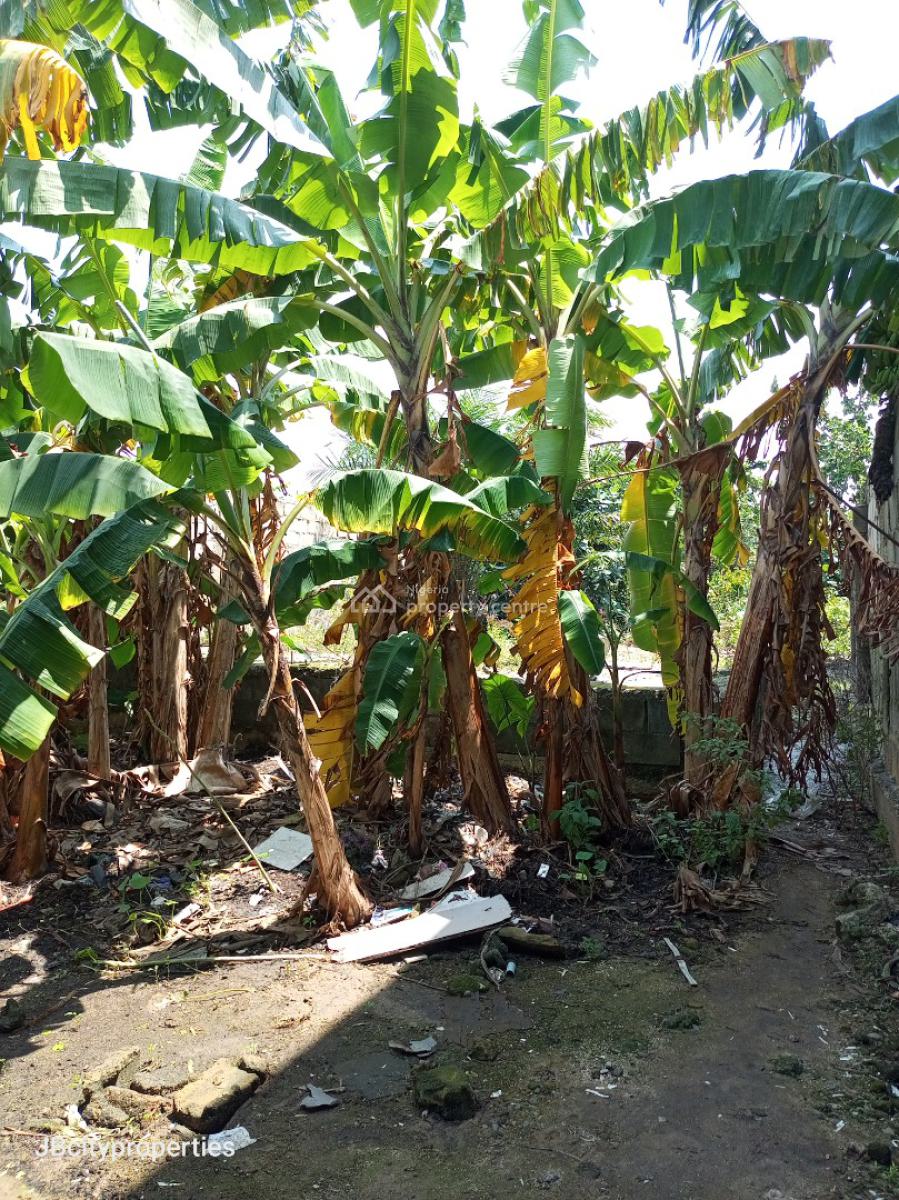 Half Plot of Land, Ogombo, Ajah, Lagos, Mixed-use Land for Sale
