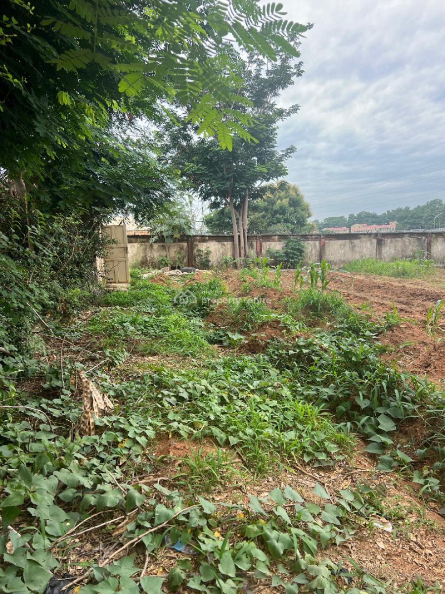 Residential Plot of Land with About 2500sqm with C of O, Asokoro, Asokoro District, Abuja, Residential Land for Sale