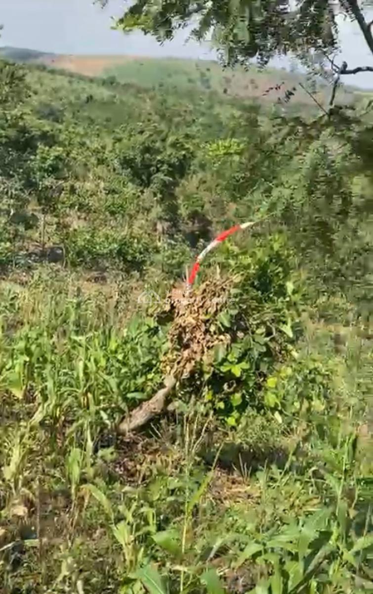 Private Housing Plot, Guzape 2, Guzape District, Abuja, Residential Land for Sale