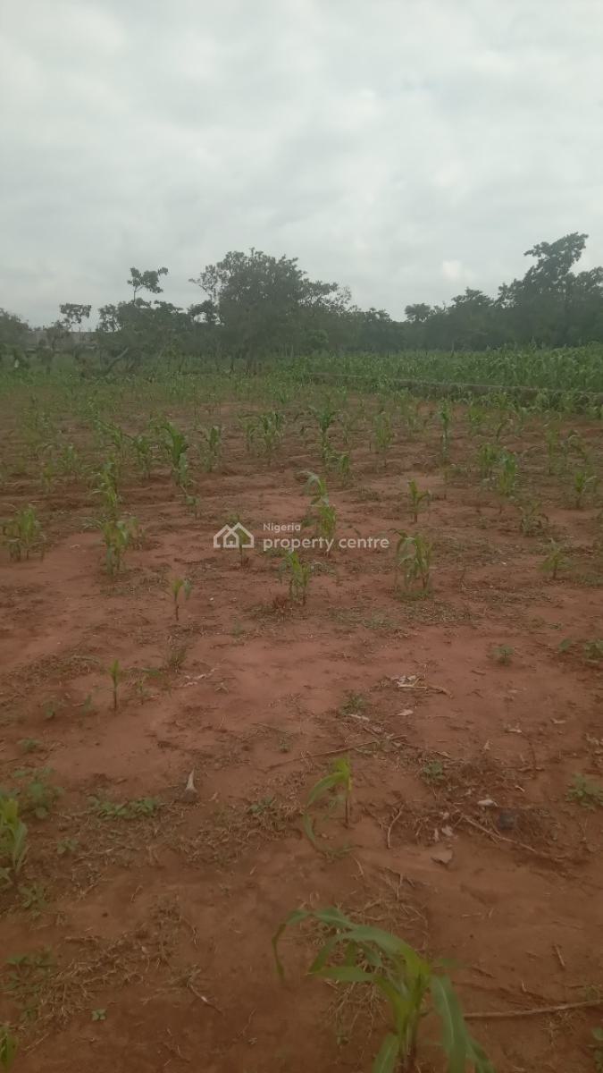 1300 Sqm Residential Land, Katampe Main, Katampe, Abuja, Residential Land for Sale