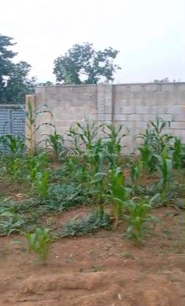1,230sqm, Residential, C of O, Katampe (main), Katampe, Abuja, Residential Land for Sale