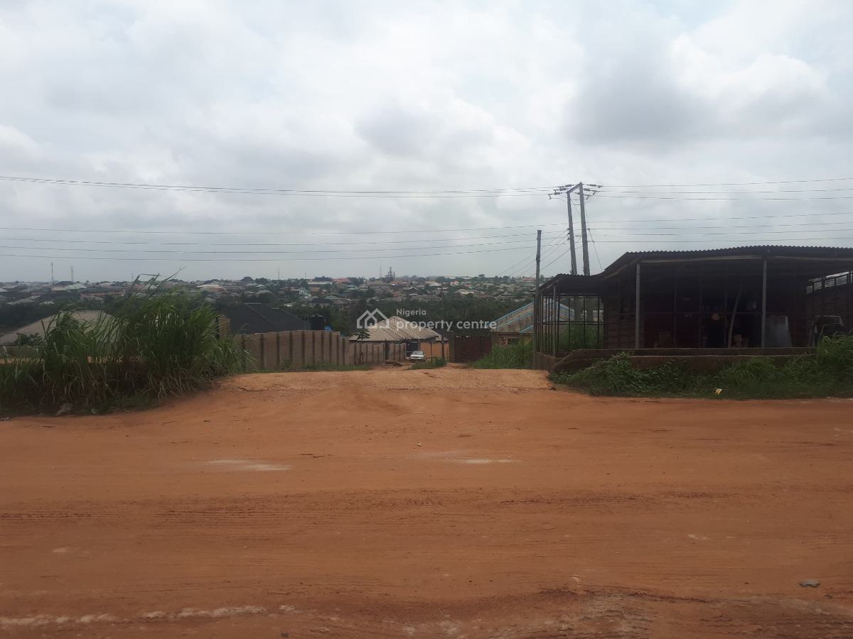 Survey, Behind Famous Winners Chapel Church, Ado-odo/ota, Ogun, Mixed-use Land for Sale